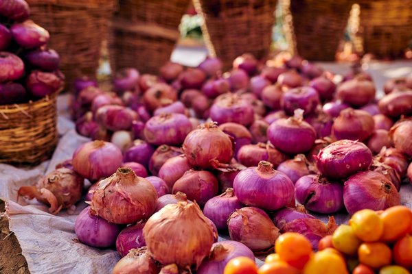 Découverte des délices du jambon basque : art et authenticité