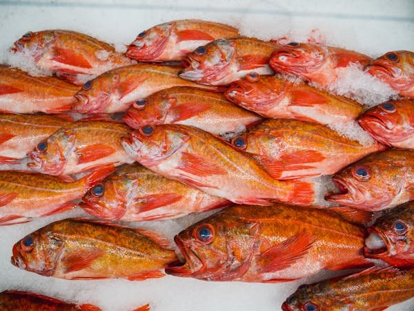 La poissonnerie familiale Geslain : fraîcheur à Caen